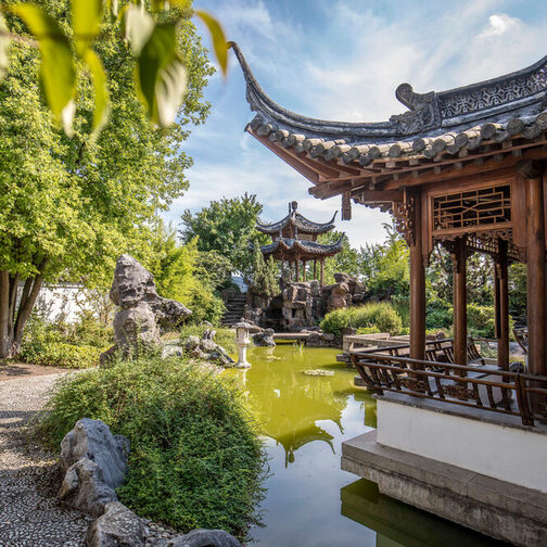 Chinesicher Garten mit kleinem Teich und Pavillons mit hochgezogenen Dachenden.