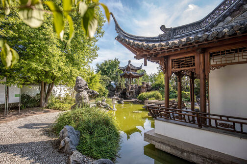Chinesicher Garten mit kleinem Teich und Pavillons mit hochgezogenen Dachenden.