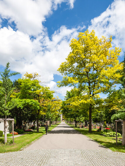 Allee auf dem Pragfriedhof mit grünen Bäumen im Sommer, links und rechts sind die Gräber