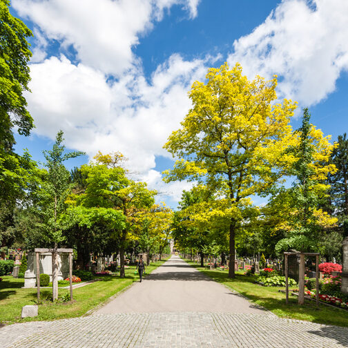 Allee auf dem Pragfriedhof mit grünen Bäumen im Sommer, links und rechts sind die Gräber