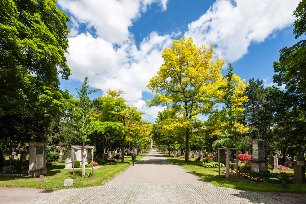 Allee auf dem Pragfriedhof mit grünen Bäumen im Sommer, links und rechts sind die Gräber
