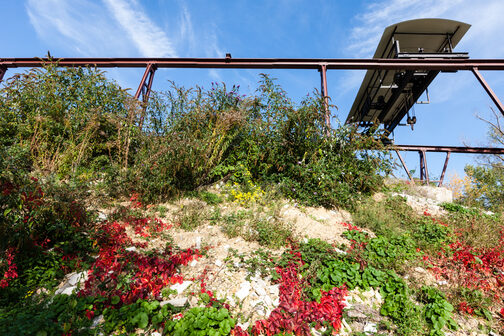 Travertinpark - bepflanzter Hang