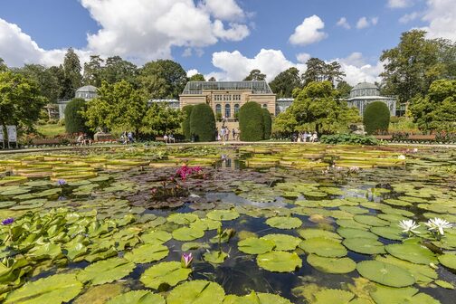 Der Maurische Garten im Zoo Wilhelma: In der Mitte ist ein großer Seerosen-Teich, bedeckt mit vielen grünen Blättern.