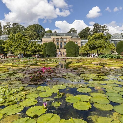 Der Maurische Garten im Zoo Wilhelma: In der Mitte ist ein großer Seerosen-Teich, bedeckt mit vielen grünen Blättern.