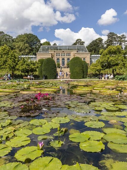 Der Maurische Garten im Zoo Wilhelma: In der Mitte ist ein großer Seerosen-Teich, bedeckt mit vielen grünen Blättern.