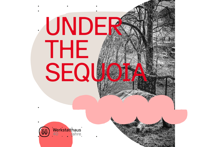 Under the Sequoia