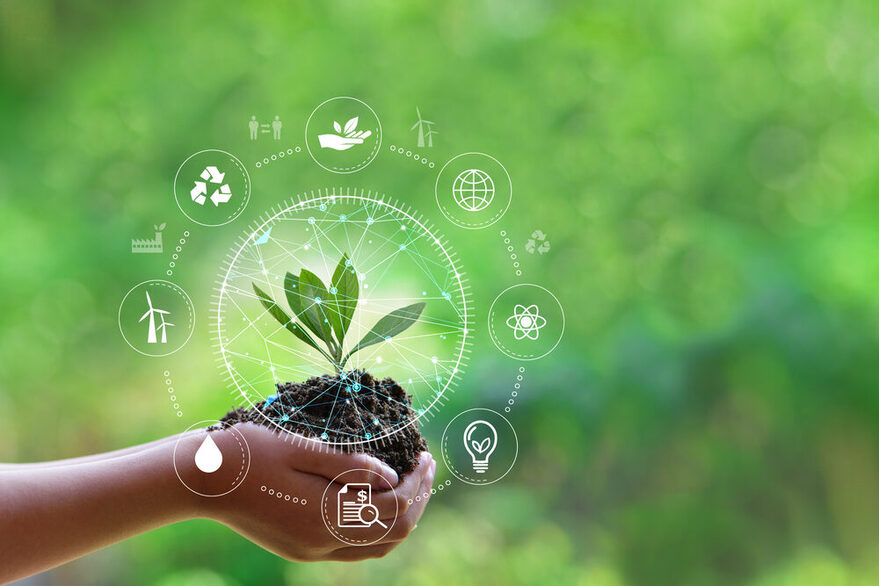 Hand hält grünes Blatt mit Net-Zero-Symbolen
