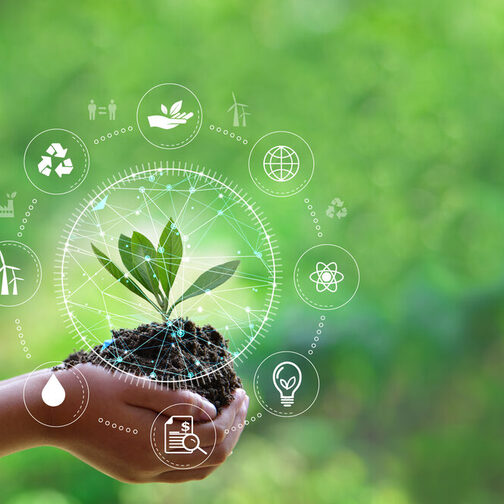 Hand hält grünes Blatt mit Net-Zero-Symbolen