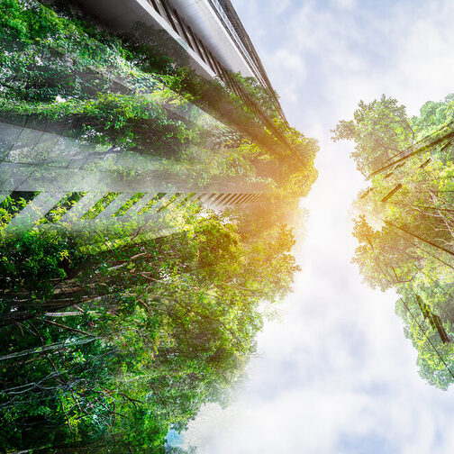 Sustainable Resources – Green Building