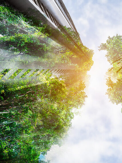 Sustainable Resources – Green Building