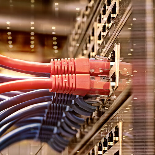 Mehrere Kabel sind an einem Server eingesteckt.