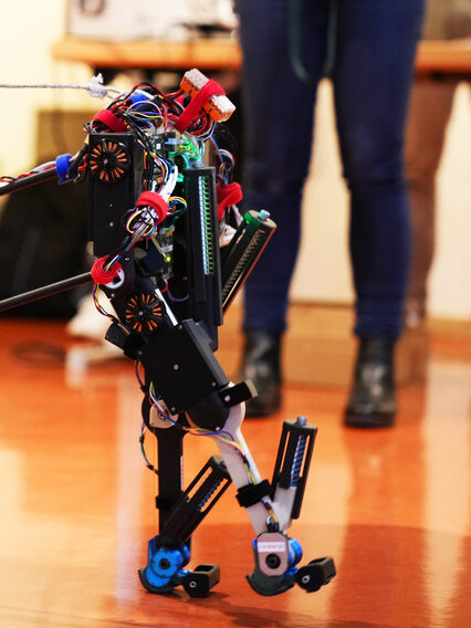 Robots with wheels and legs